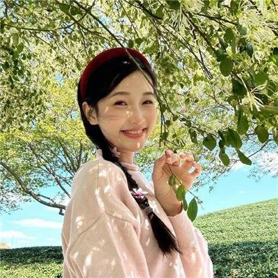 梦想成真粤语